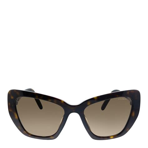 havana prada sunglasses